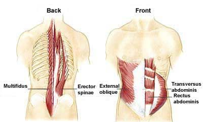 inflammerad muskel rygg