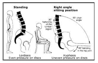 Ryggraden i sittande position