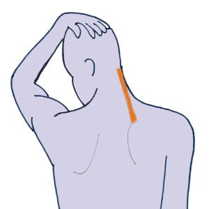 Stretching levator scapula