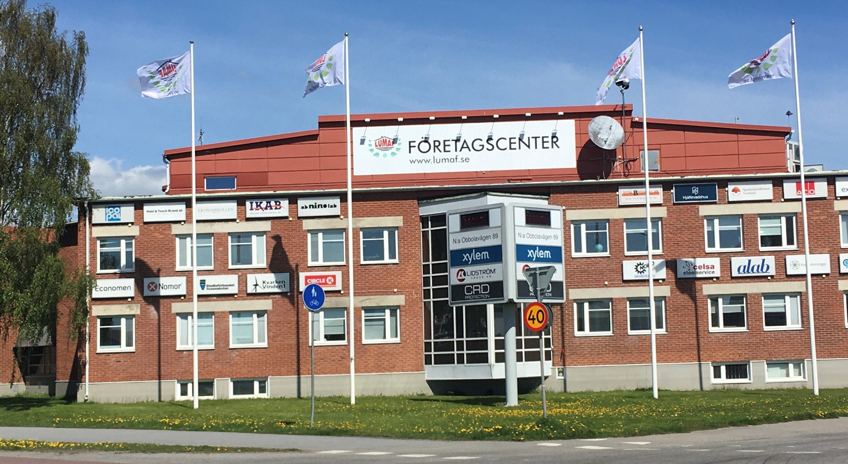 Atlaskotan Umeå